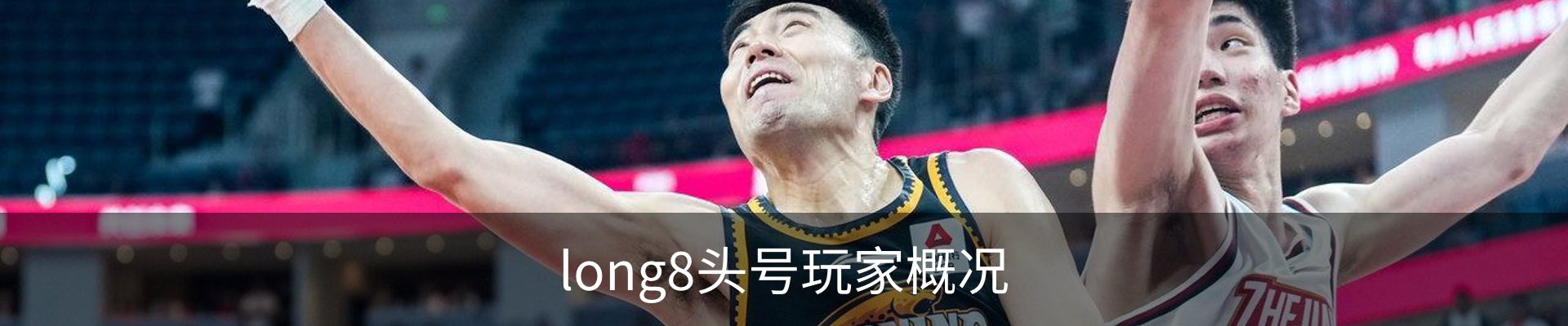 long8头号玩家概况